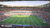 Jogo PES 2014 Pro Evolution Soccer - Xbox 360 (Seminovo) - loja online