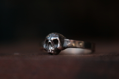 Little Skull - loja online