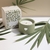 Vela aromática na cerâmica corações - Essência bamboo