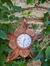 Reloj de pared de algarrobo - comprar online