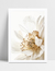 Quadro Close Flor Branca na internet