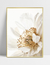 Quadro Close Flor Branca - loja online