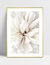 Quadro Closeup Blossom - loja online