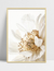 Quadro Close Flor Branca - comprar online
