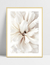 Quadro Closeup Blossom - comprar online