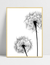 Quadro Dandelion - comprar online