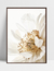 Quadro Close Flor Branca na internet