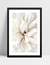 Quadro Closeup Blossom - comprar online