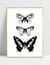 Quadro Butterfly - loja online