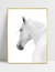 Quadro White Horse - loja online