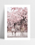 Quadro Sakura e Cervos