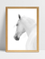 Quadro White Horse - La Blumi