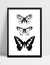 Quadro Butterfly - comprar online