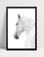 Quadro White Horse - comprar online