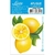 Aplique em Papel e MDF Litoarte Limões - APM8-1092 - comprar online