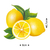 Aplique em Papel e MDF Litoarte Limões - APM8-1092