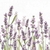 Guardanapo Lavender Shades White com 2 Unidades