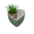 Vaso Decorativo de Cimento Coração com Planta Suculenta - Marrom