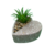 Vaso Decorativo de Cimento Coração com Planta Suculenta - Marrom na internet
