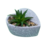 Vaso Decorativo de Cimento Coração com Planta Suculenta - Cinza na internet