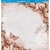 Papel Scrap Dupla Face Litoarte Borboleta e Rosas - SD-0868 - comprar online