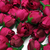 Aplique Rosas 2X2,5mm Em Poliéster Vinho un - comprar online