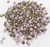 COD 6553 - Pedras de Strass SS14,5/PP28 Rose Opal - Pacote com 30 Pedras
