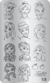Placas de Carimbo de unhas – Princesas da Disney TC16