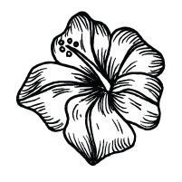 Hawaiana Ilustrada