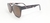 POL AC 5071 - SUNGLASS - comprar online