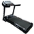 Esteira Elétrica EVO5000 220V Evolution Fitness