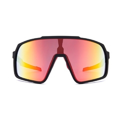 Óculos de Sol Snowbird - Fuel Eyewear - Óculos tão únicos quanto você!