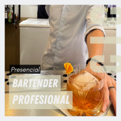 [Seña] Curso Bartender Profesional