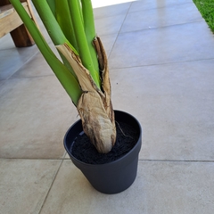 Planta Alocasia artificial 120cm en internet