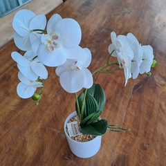 Planta Orquídea 40cm - comprar online