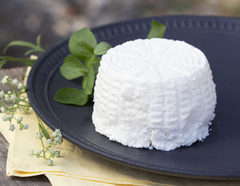 Ricotta Fresca - comprar online