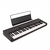 Teclado Casio CT-S1 CasioTone Preto - 61 Teclas Sensitivas + Suporte X + Banqueta X - comprar online