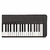 Teclado Casio CT-S1 CasioTone - 61 Teclas Sensitivas - 64 polifonias