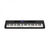 Teclado Casio CT-S400 CasioTone Preto - 61 Teclas Sensitivas + Suporte X - comprar online