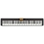 Piano Digital Casio CDP-S360 Preto - 88 Teclas + Capa - loja online