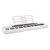 Kit Teclado Musical CASIOTONE CT-S200 CASIO Branco Aplicativo Chordana Play + Suporte + Capa - comprar online