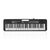 Kit Teclado Musical CASIOTONE LK-S250 CASIO Preto Teclas Iluminadas APP Chordana Play + Fone + Suporte X na internet