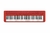 Teclado Casio CT-S1 Vermelho - 61 Teclas Sensitivas + Suporte X + Pedal Sustain - comprar online
