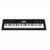 Kit Teclado Musical Casio Ctk3500 + Suporte X + Fonte + Suporte Partitura - comprar online