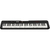 Kit Teclado Musical CASIOTONE CT-S195 CASIO Preto 61 Teclas + Suporte X + Fonte Bivolt + Suporte Partituras - comprar online