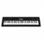 Kit Teclado Musical CASIO CTK3500 MIDI/USB Aplicativo Chordana + Suporte X + Banqueta + Fonte - loja online