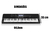 Teclado Musical Ct-x800 Casio - 61 Teclas Sensitivas - 48 Polifonias - Midi/USB na internet