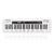 Teclado Musical CASIOTONE CT-S200 CASIO Branco 61 Teclas Aplicativo Chordana Play - comprar online