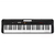 Kit Teclado Musical CASIOTONE CT-S195 CASIO Preto 61 Teclas + Suporte X + Capa na internet