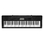 Kit Teclado Musical Casio Ctk3500 Midi/usb Aplicativo Chordana + Suporte X + Capa + Fonte + Suporte - comprar online